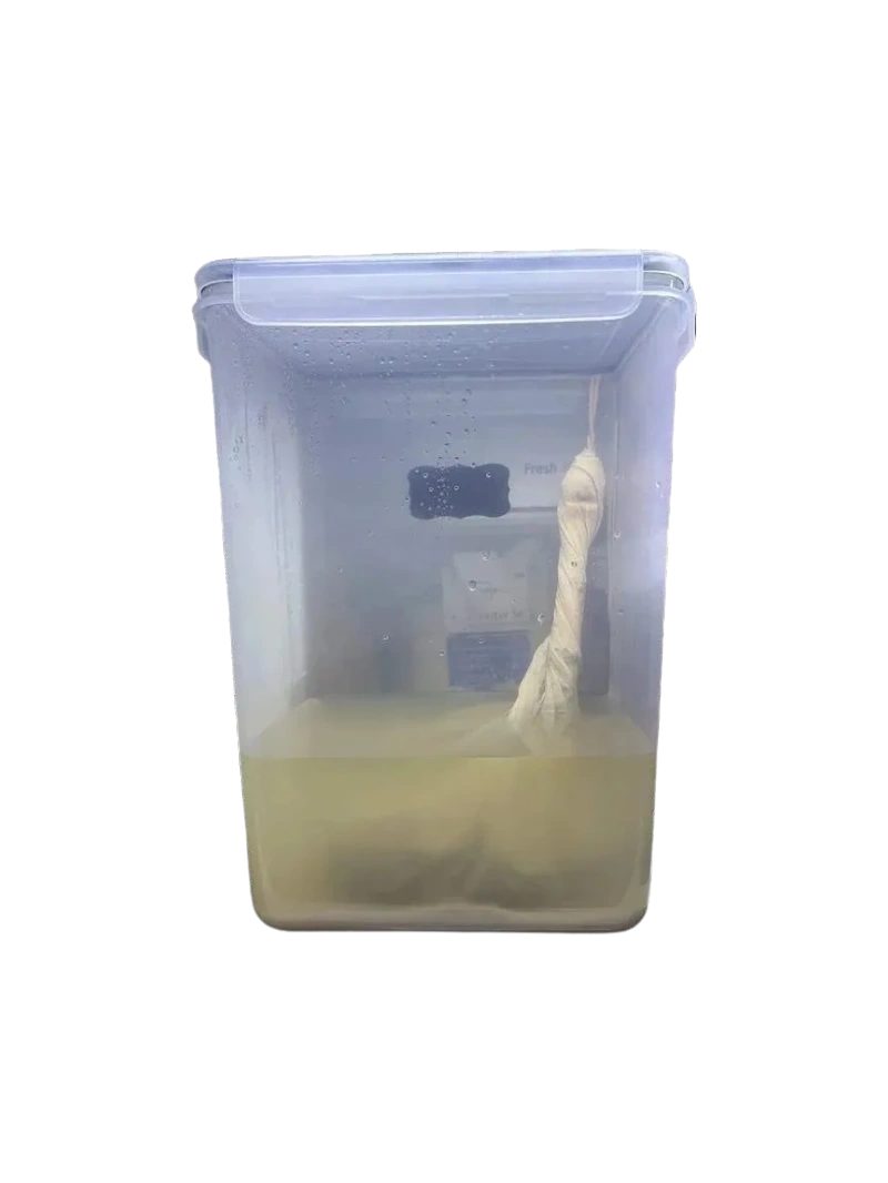 Chhaang fermenting in a sealed container
